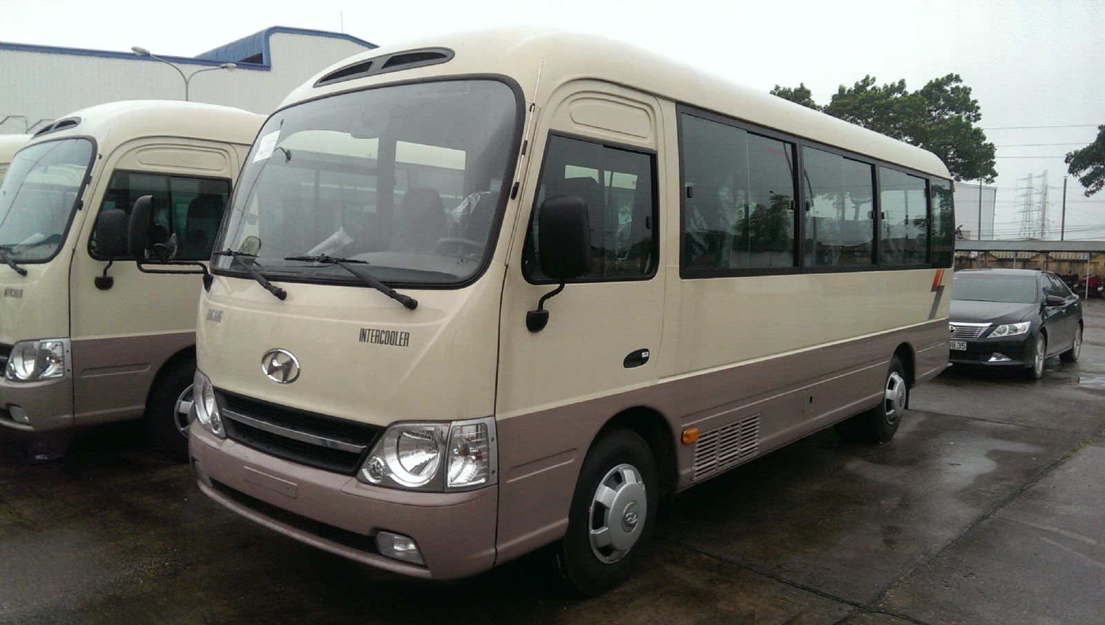 Hyundai County Đồng Vàng  Xe County 29 Chỗ Đồng Vàng